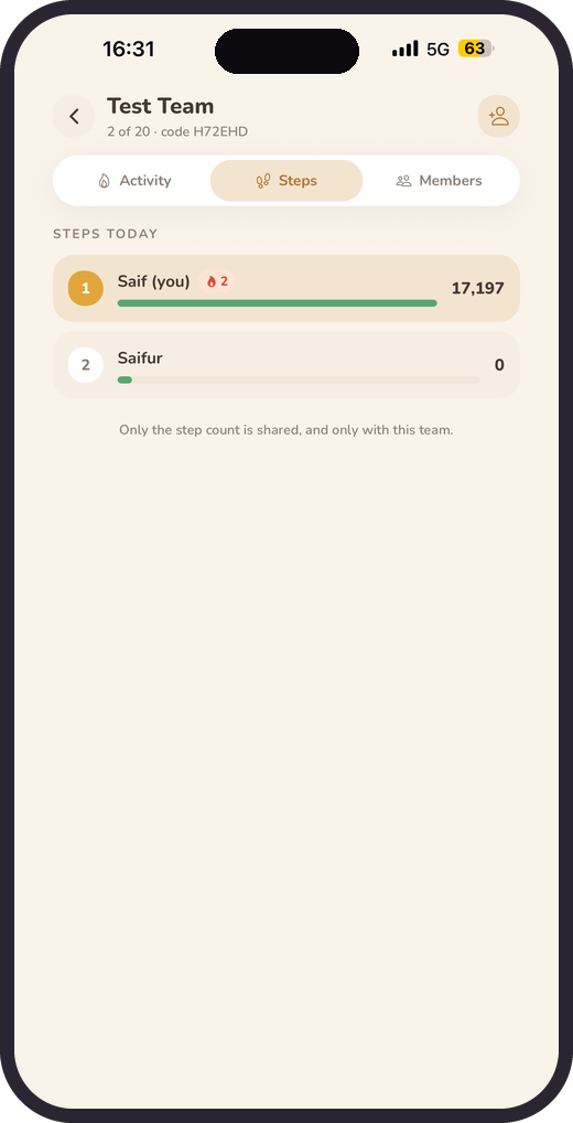 Team step leaderboard